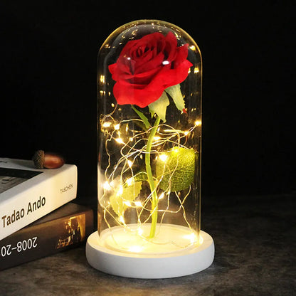 Cosy Eternal Rose Decor Lamp